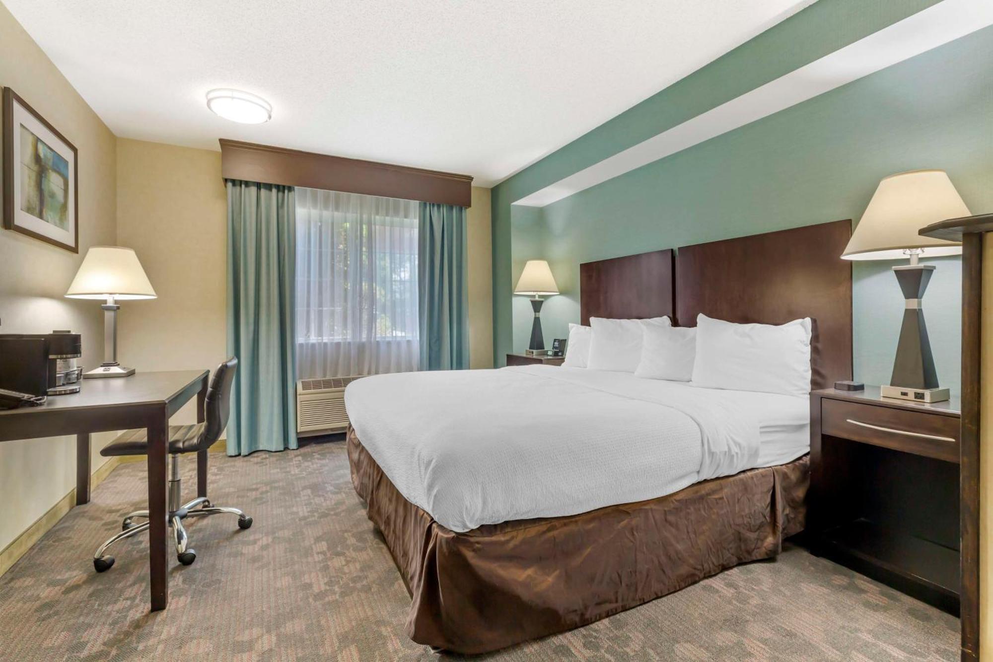 Best Western Plus Berkshire Hills Inn & Suites Pittsfield Esterno foto
